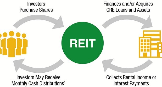 Real Estate Investment Trust (REIT): Meaning, Types & Limitations